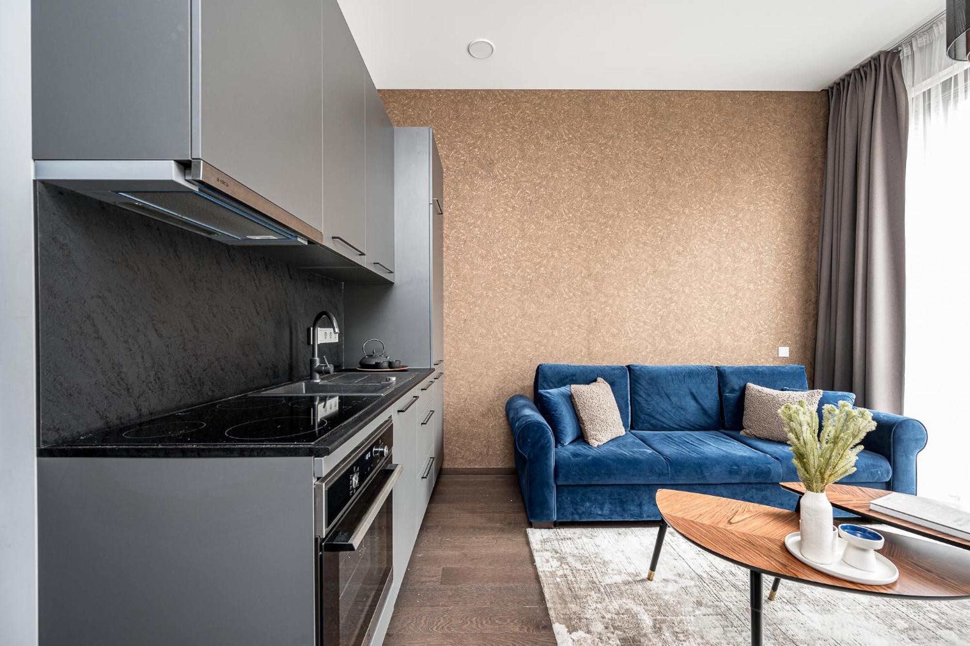 Vilnius Old Town Studio Renessaince 5 外观 照片